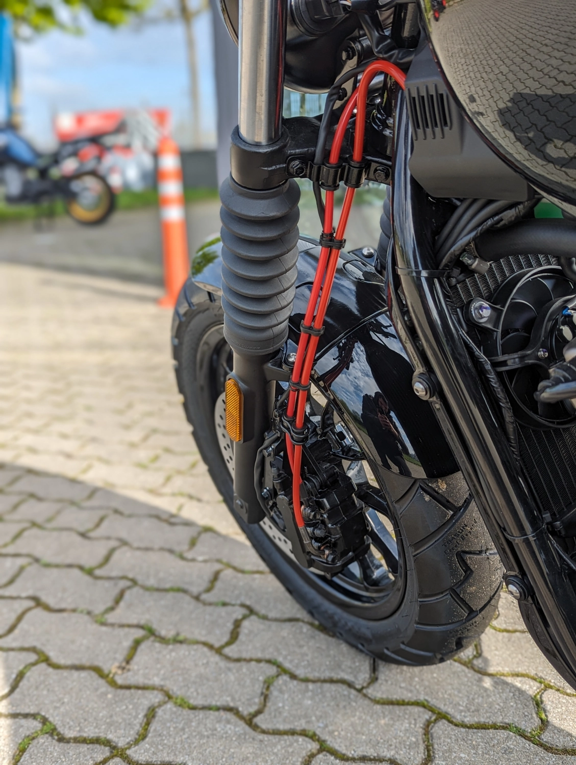 Custom Bikes