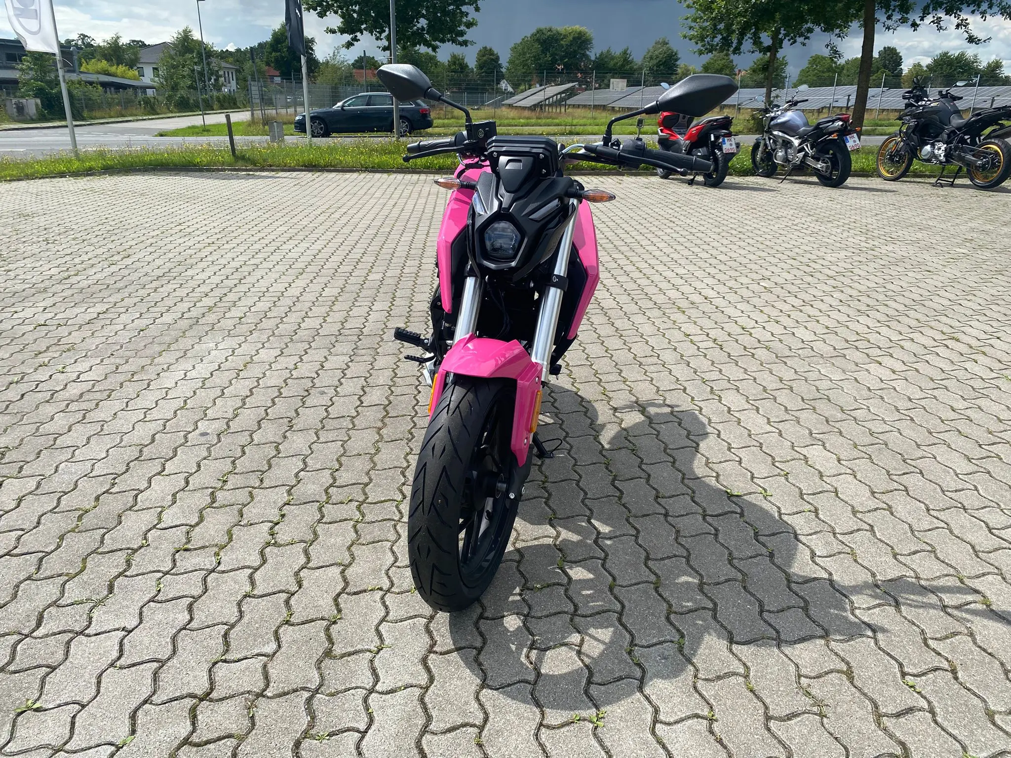 VOGE R125 Pink Edition Motorrad im Verkauf bei BikeTech Lohmann in Walsrode